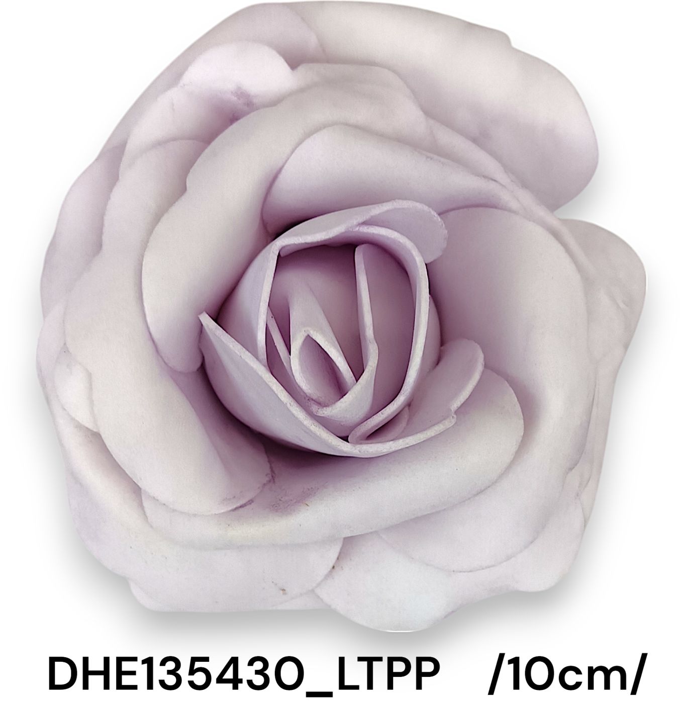 DHE135430_LTPP
