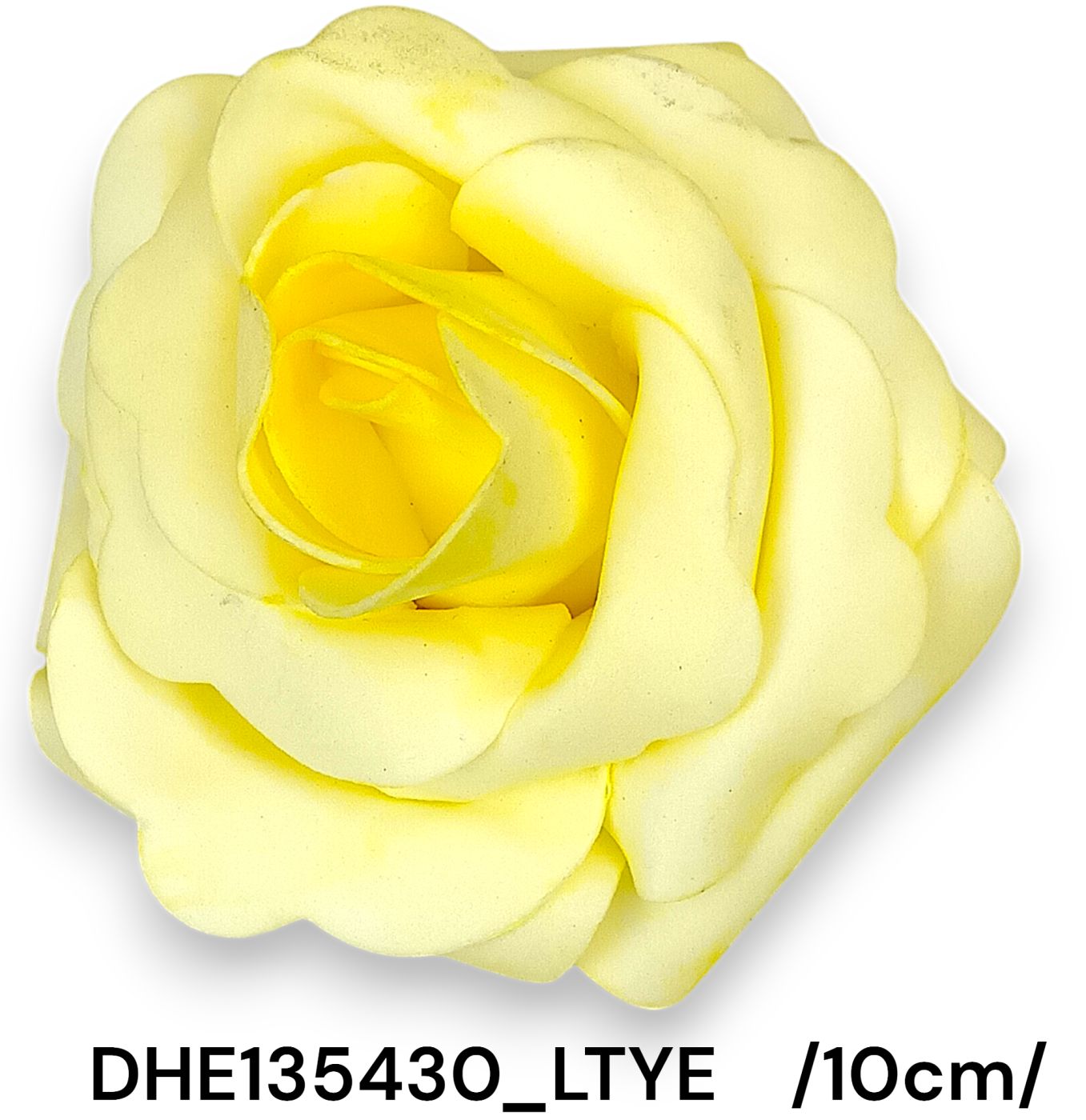DHE135430_LTYE