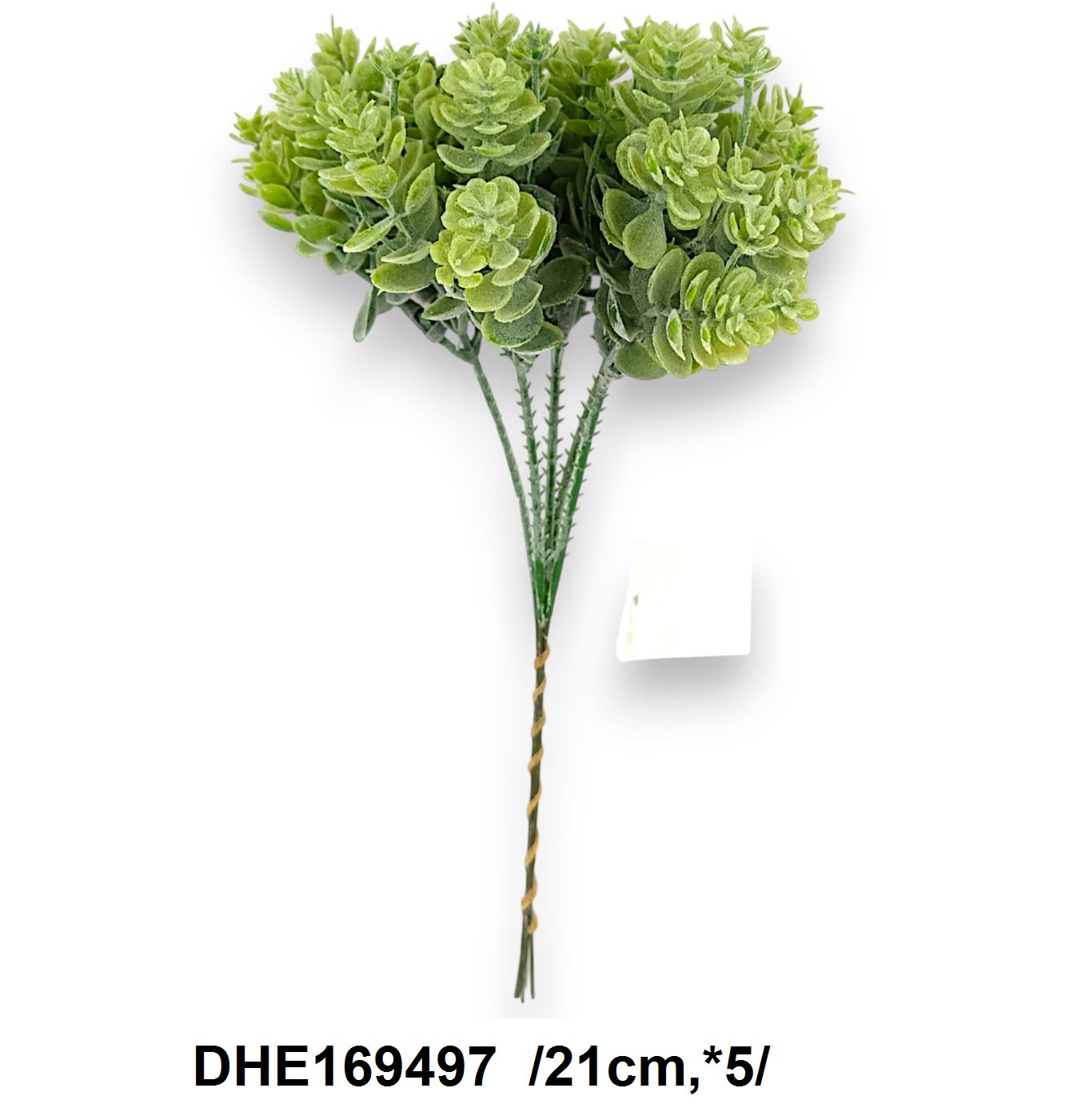 Kövirózsa pick /21cm,*5/ Fő kép