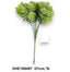 Kövirózsa pick /21cm,*5/
