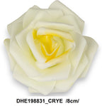 DHE198831_CRYE