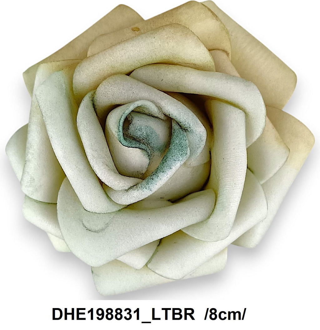 DHE198831_LTBR