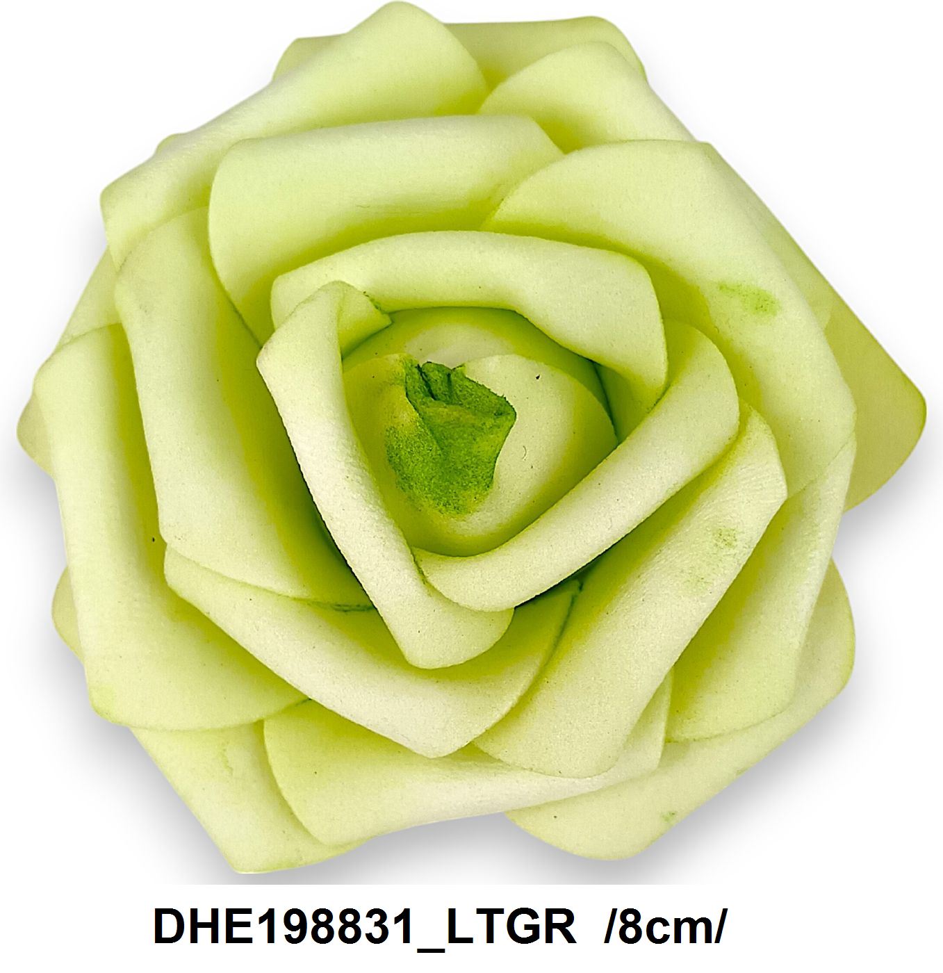 DHE198831_LTGR