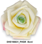 DHE198831_PHGR