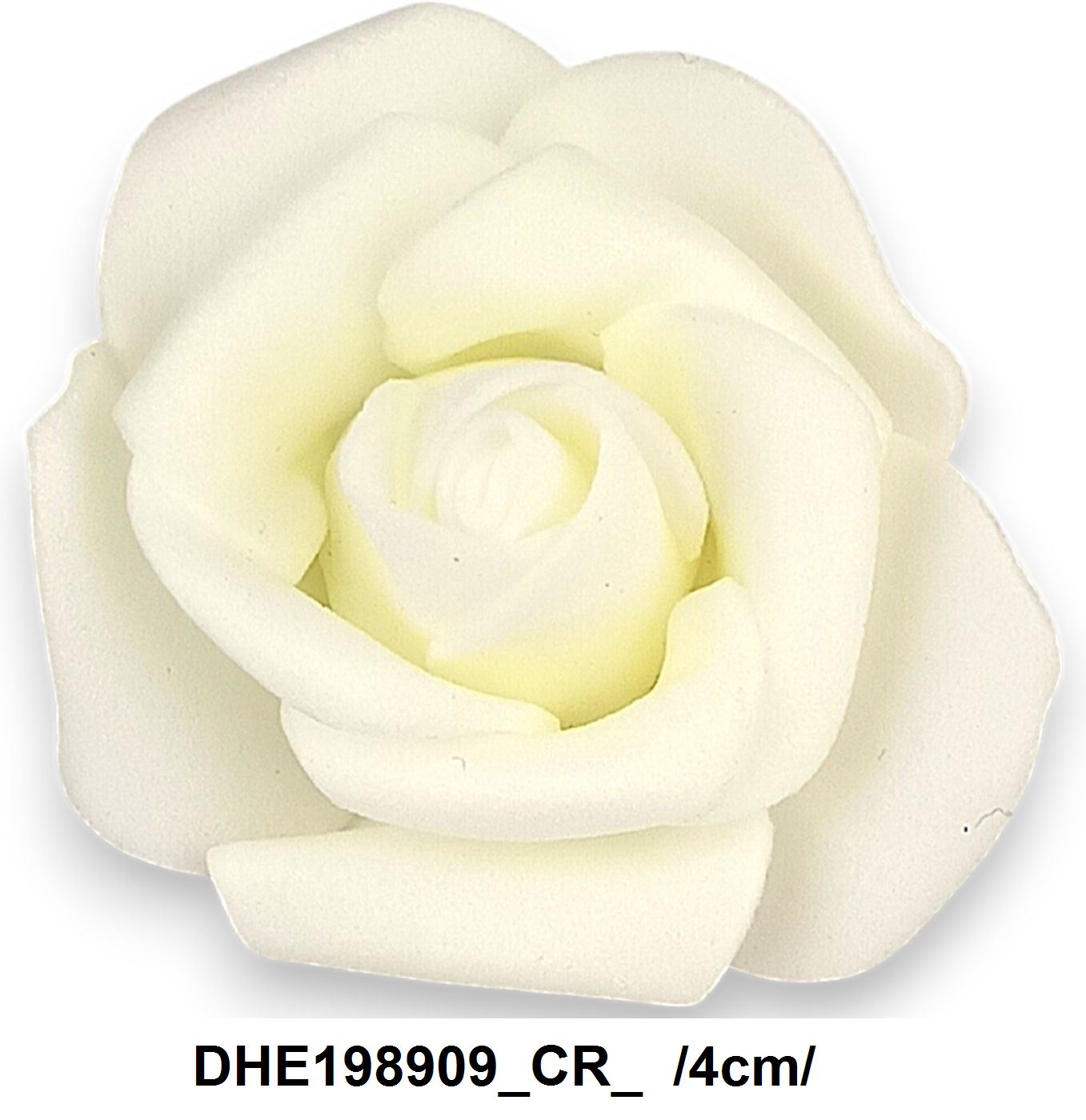 DHE198909_CR_
