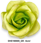 DHE198909_GR