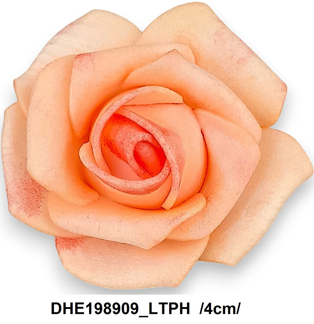 DHE198909_LTPH