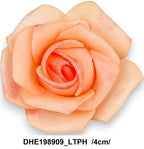 DHE198909_LTPH