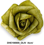 DHE198909_OLIV