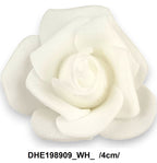 DHE198909_WH_