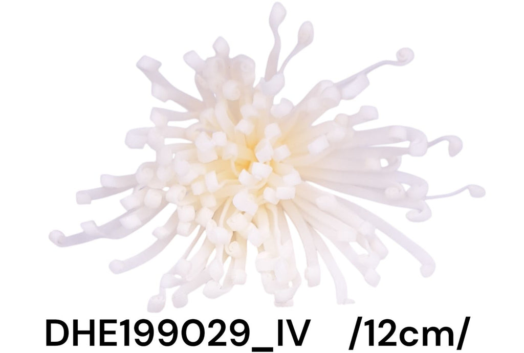 DHE199029_IV