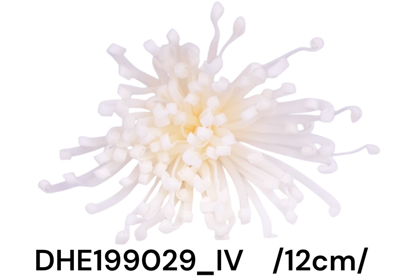 DHE199029_IV