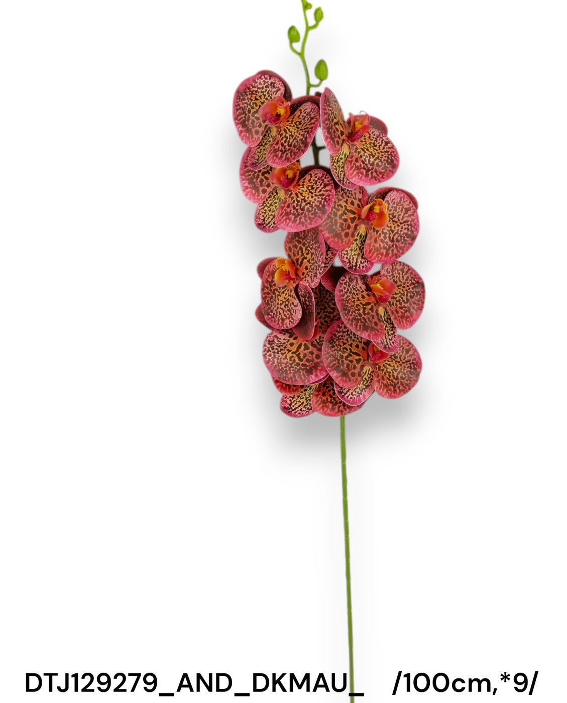 Real touch szálas pillangó Orchidea /100cm,*9/ Másodlagos kép