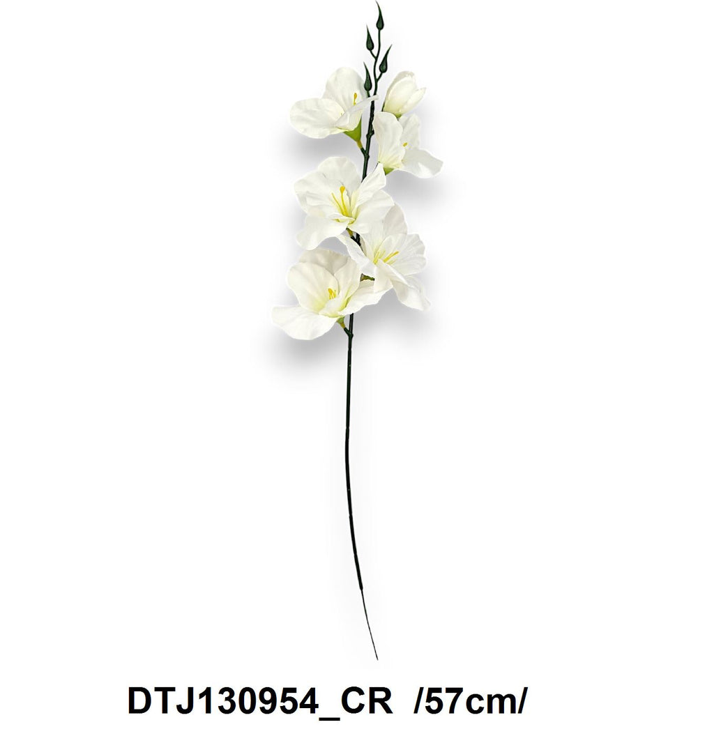 DTJ130954_CR