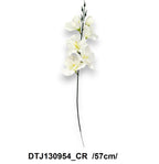 DTJ130954_CR