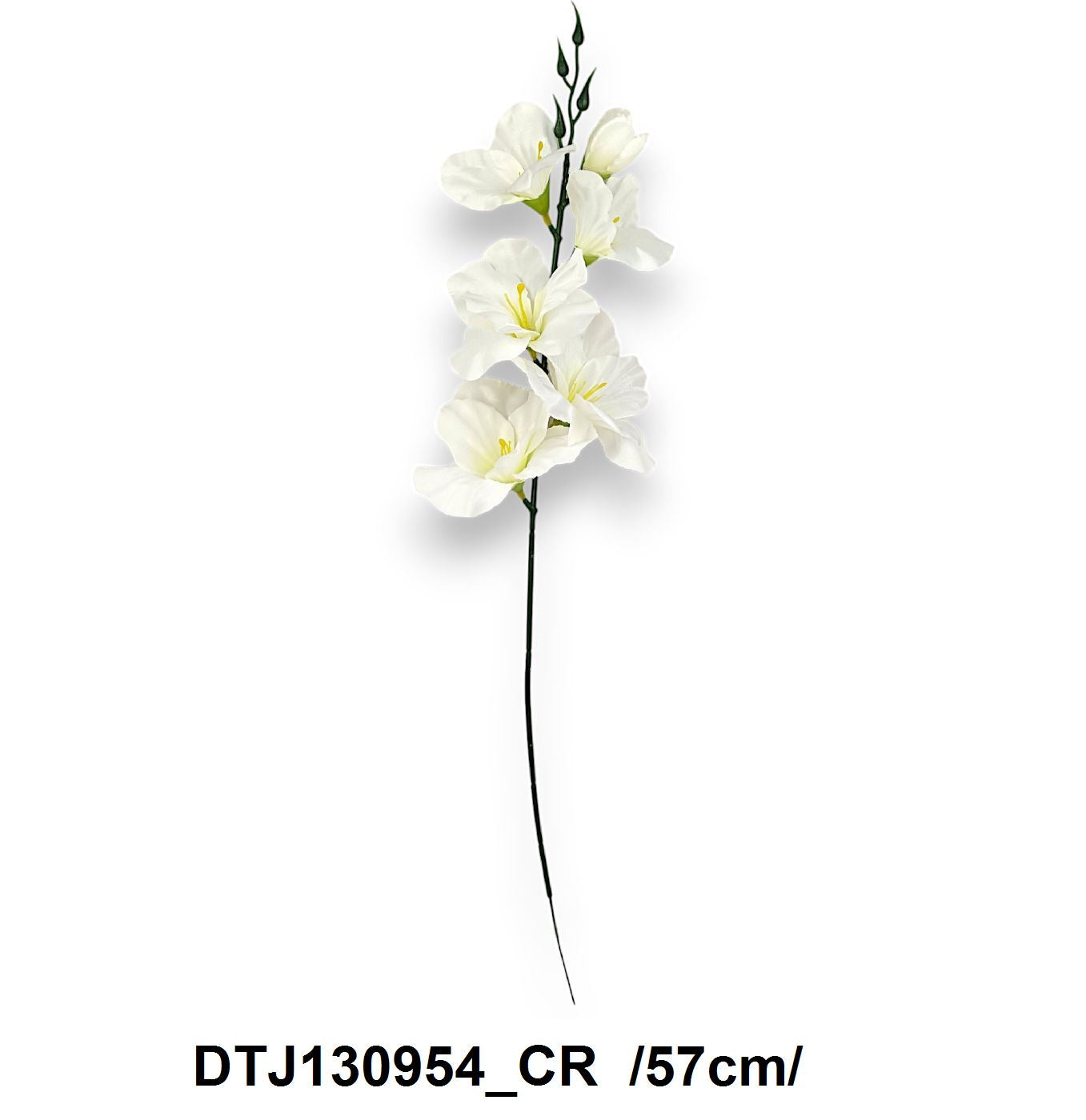 DTJ130954_CR
