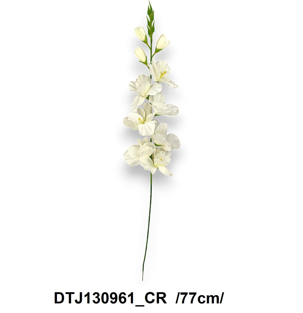 DTJ130961_CR
