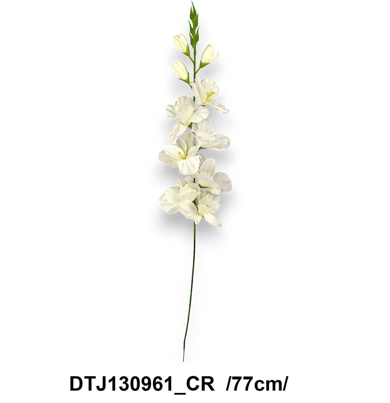 DTJ130961_CR