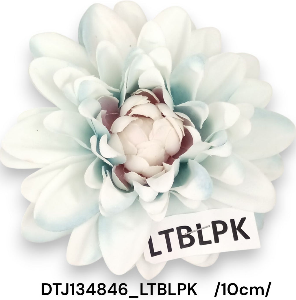 DTJ134846_LTBLPK