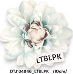 DTJ134846_LTBLPK