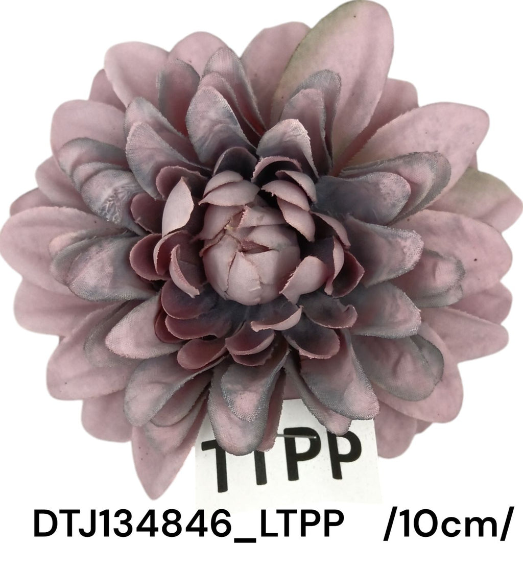 DTJ134846_LTPP