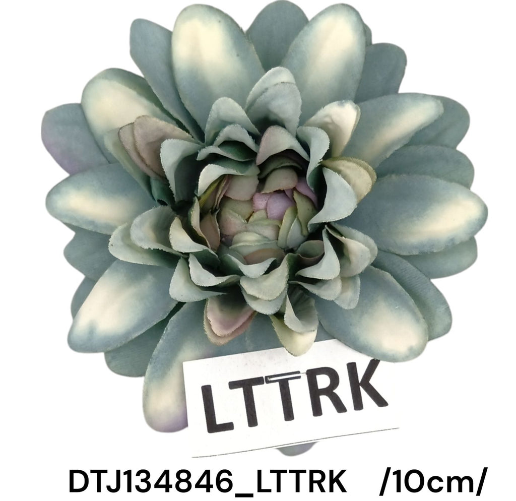 DTJ134846_LTTRK