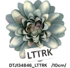 DTJ134846_LTTRK