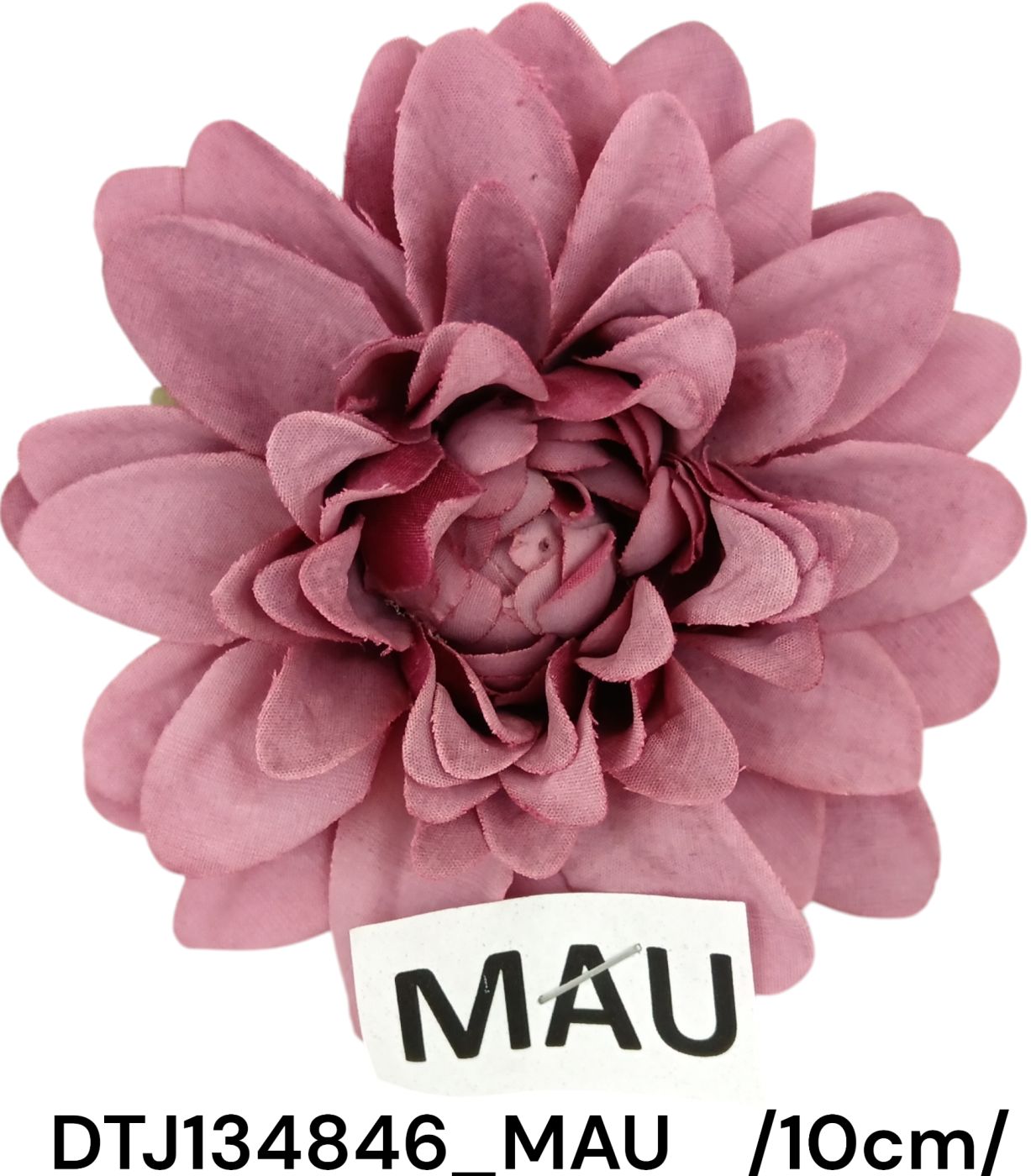 DTJ134846_MAU