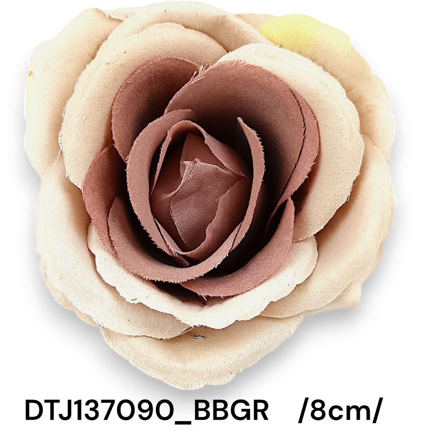 DTJ137090_BBGR