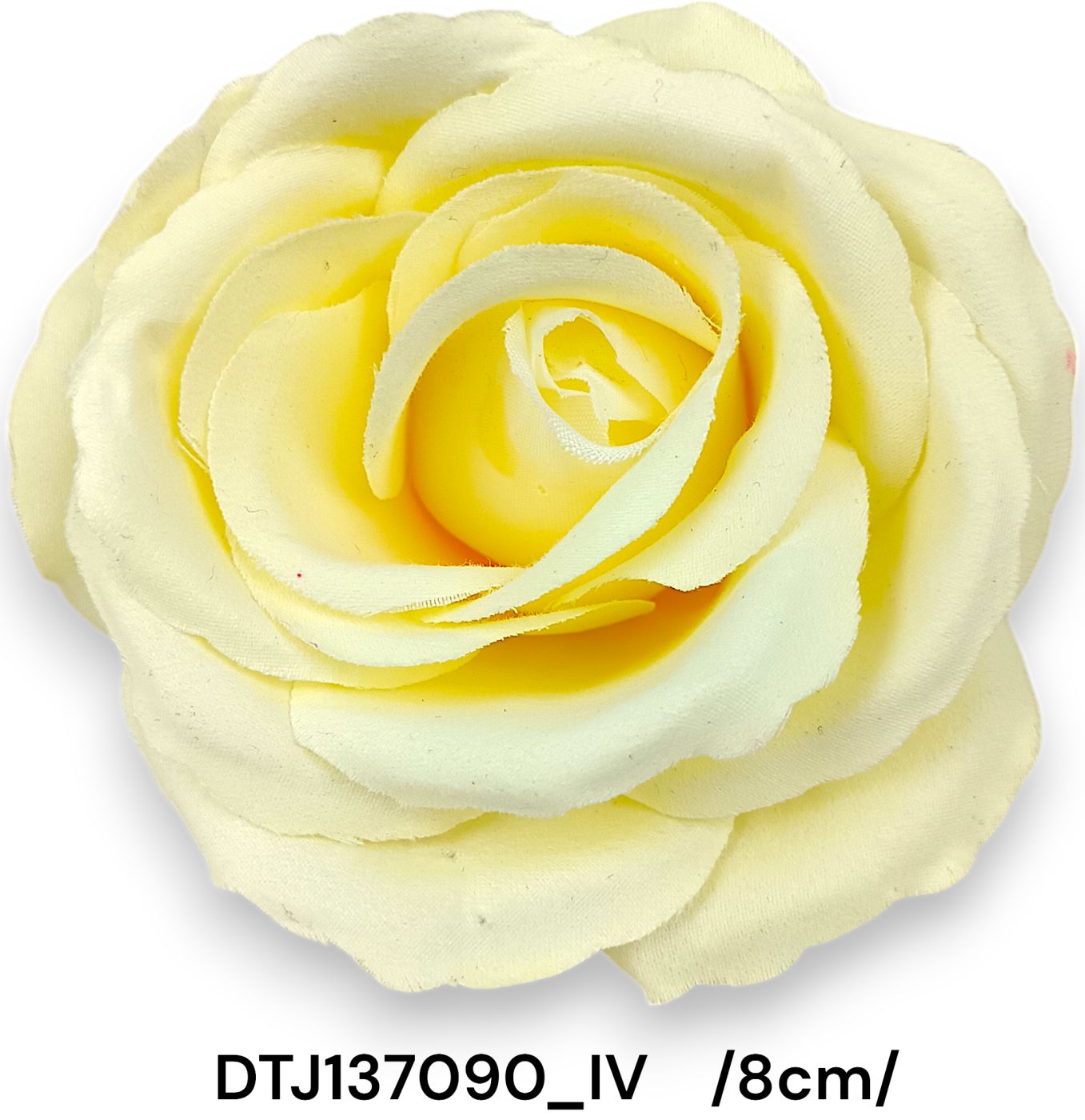 DTJ137090_IV