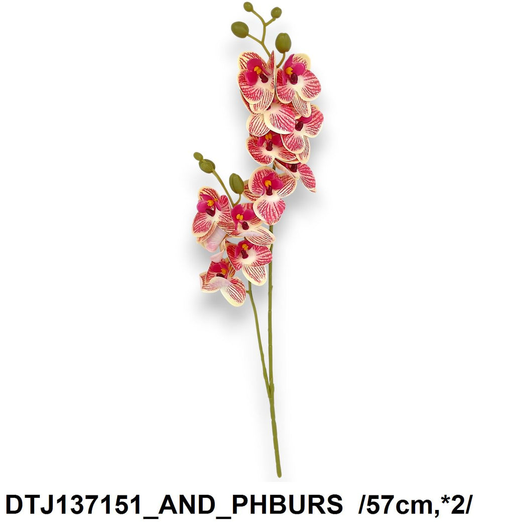Real touch szálas orchidea, 12 fejjel /57cm,*2/