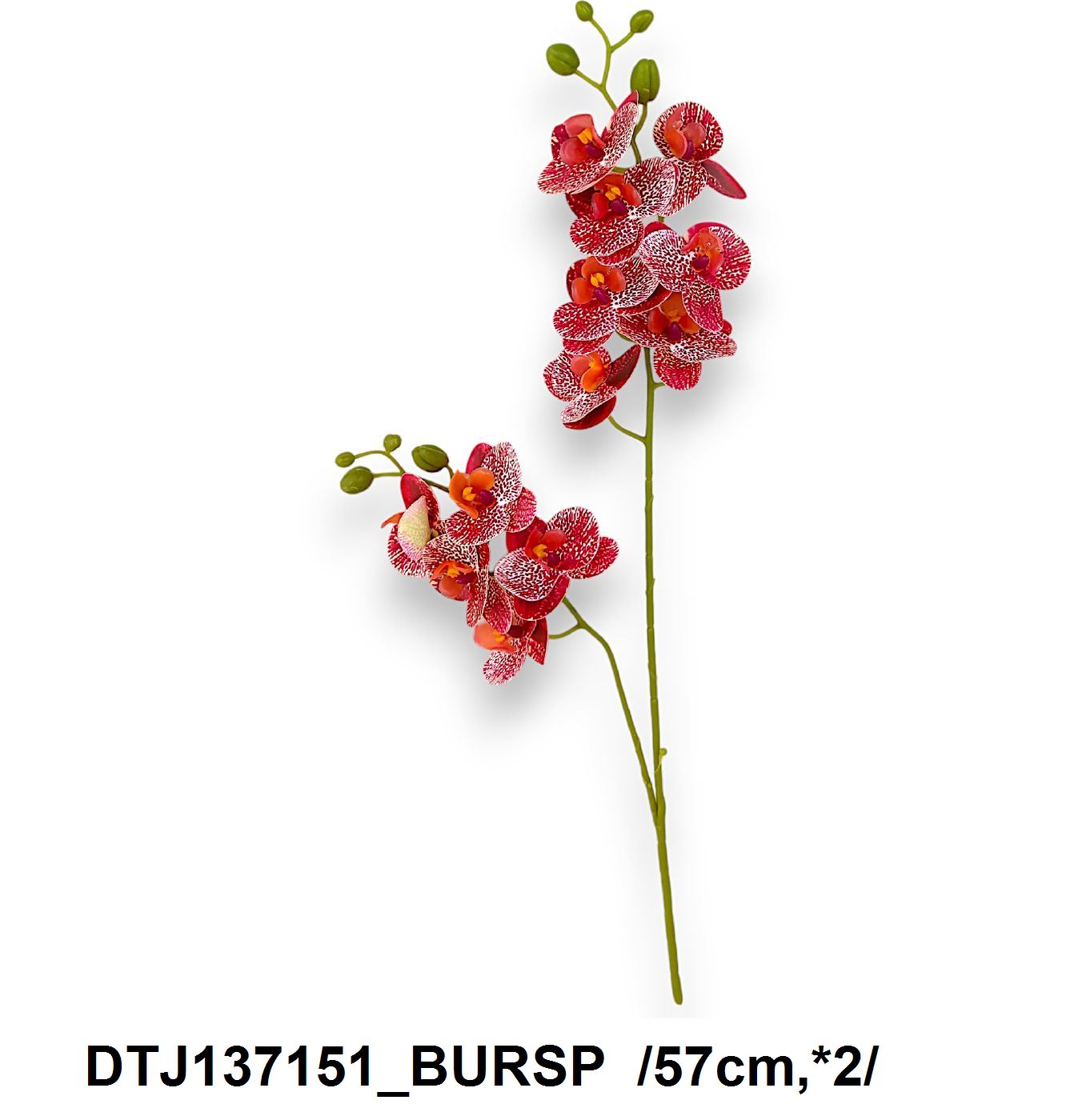 Real touch szálas orchidea, 12 fejjel /57cm,*2/ Másodlagos kép