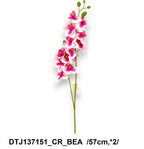 DTJ137151_CR_BEA