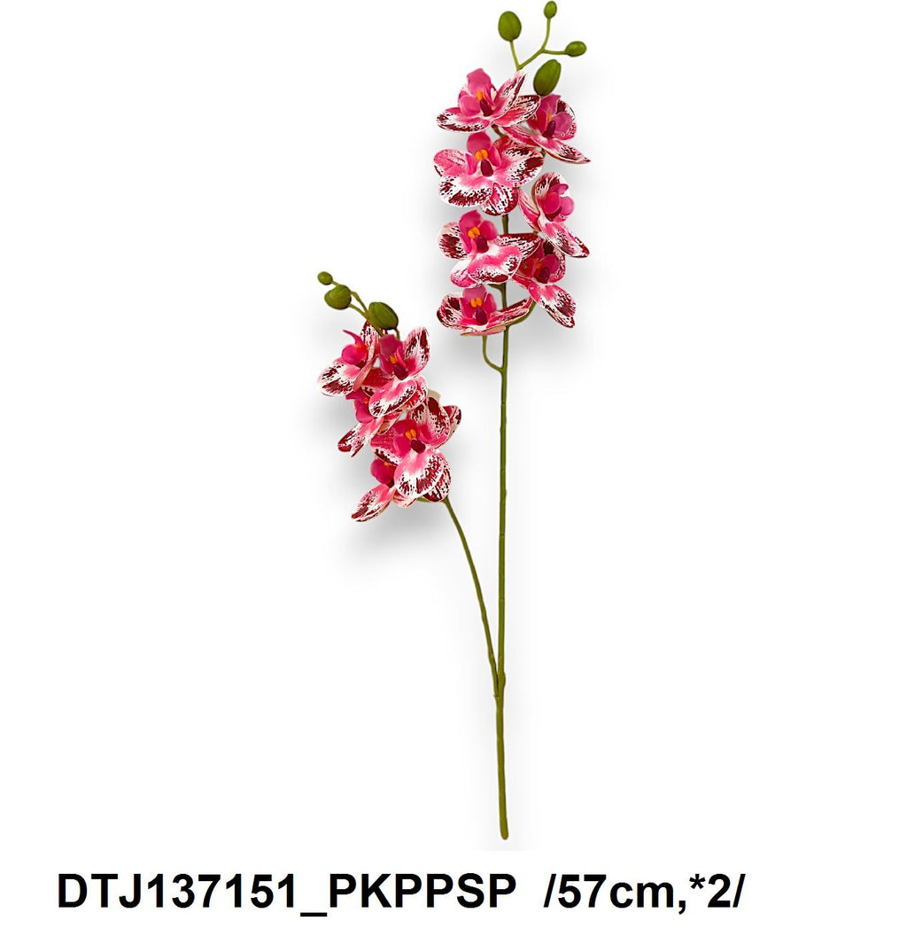 DTJ137151_PKPPSP