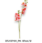 DTJ137151_PK