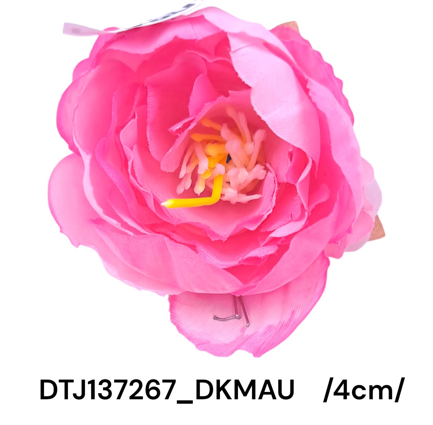 DTJ137267_DKMAU