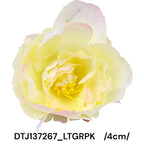 DTJ137267_LTGRPK