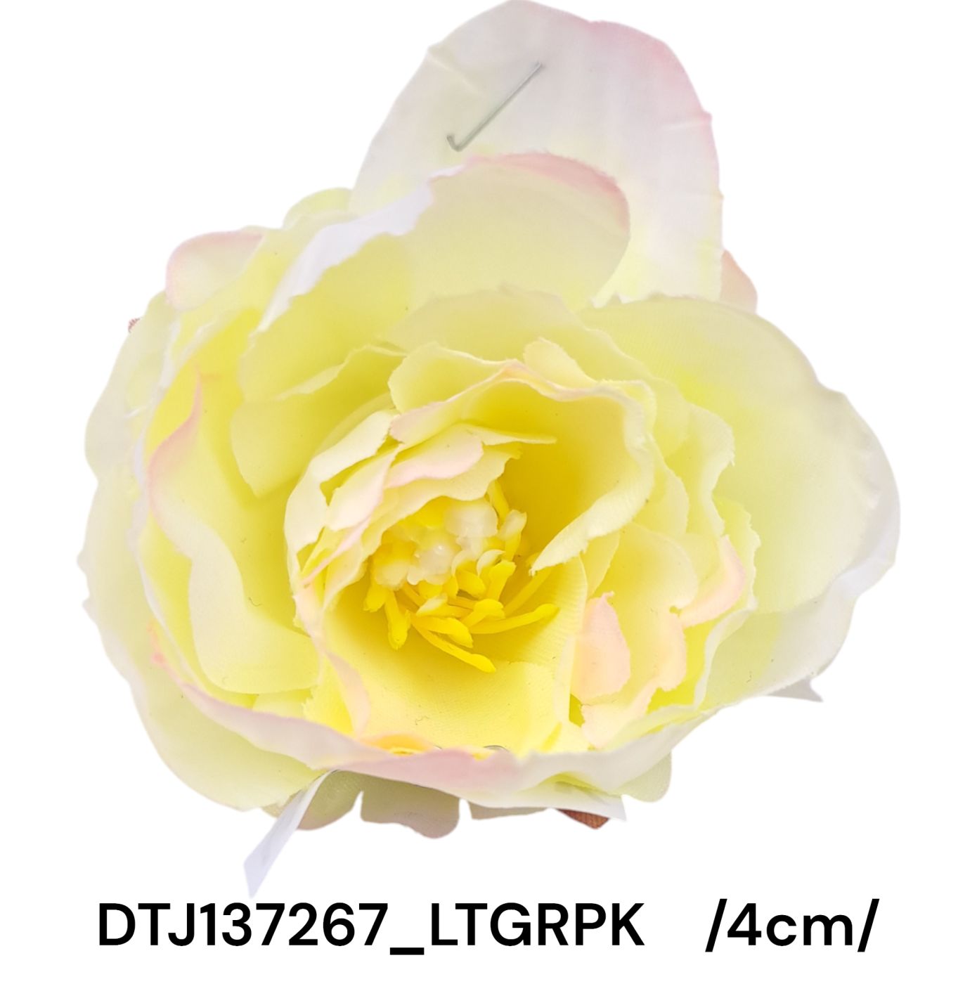 DTJ137267_LTGRPK