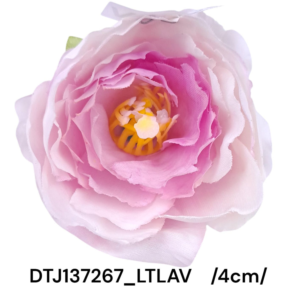 DTJ137267_LTLAV
