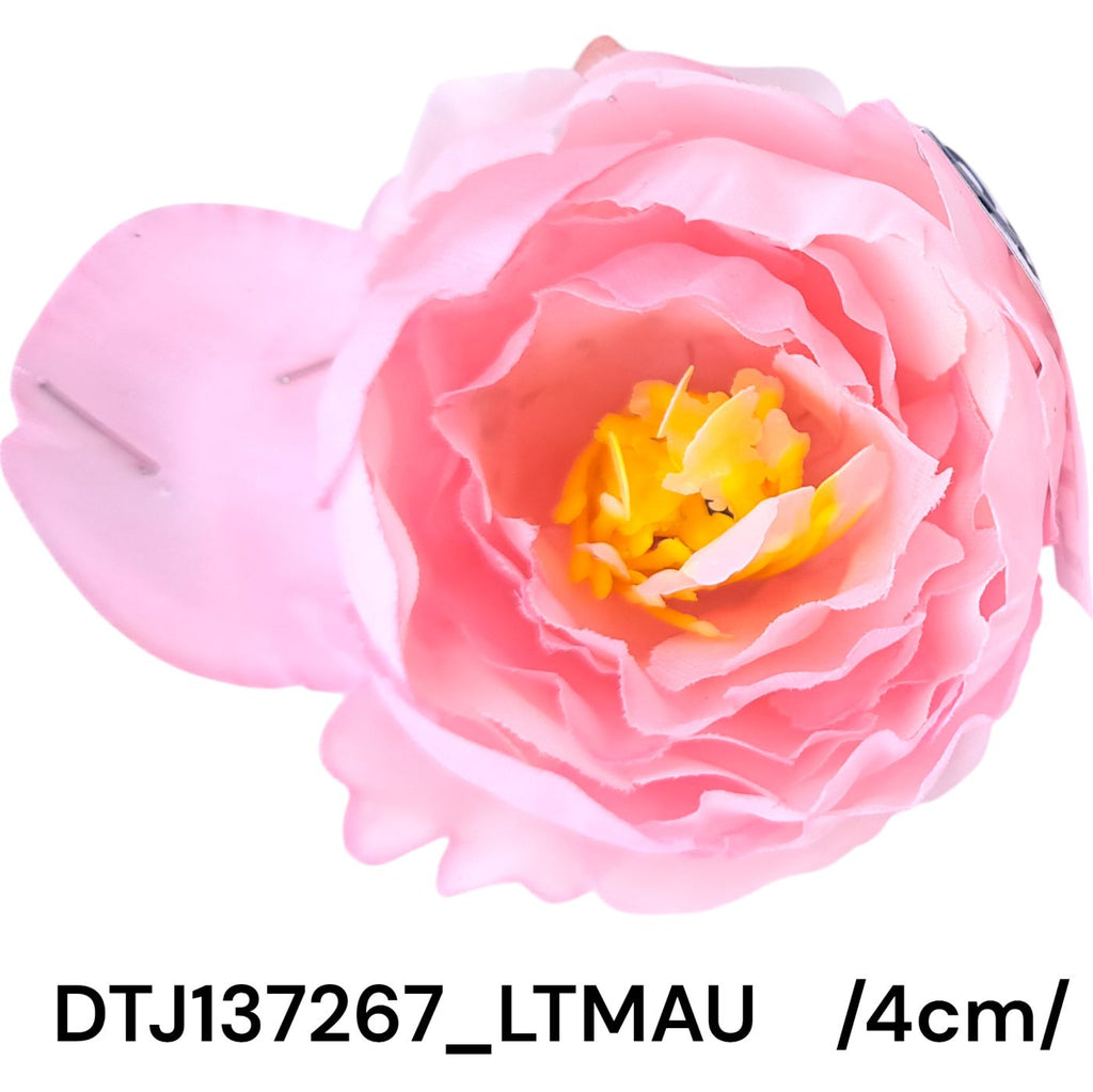 DTJ137267_LTMAU