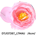 DTJ137267_LTMAU