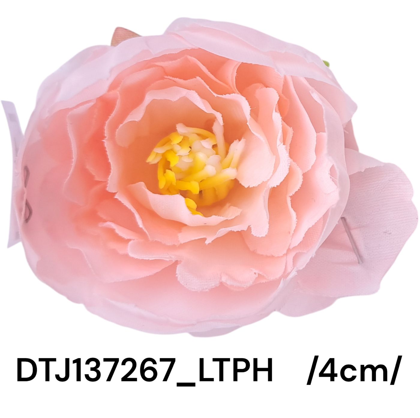 DTJ137267_LTPH