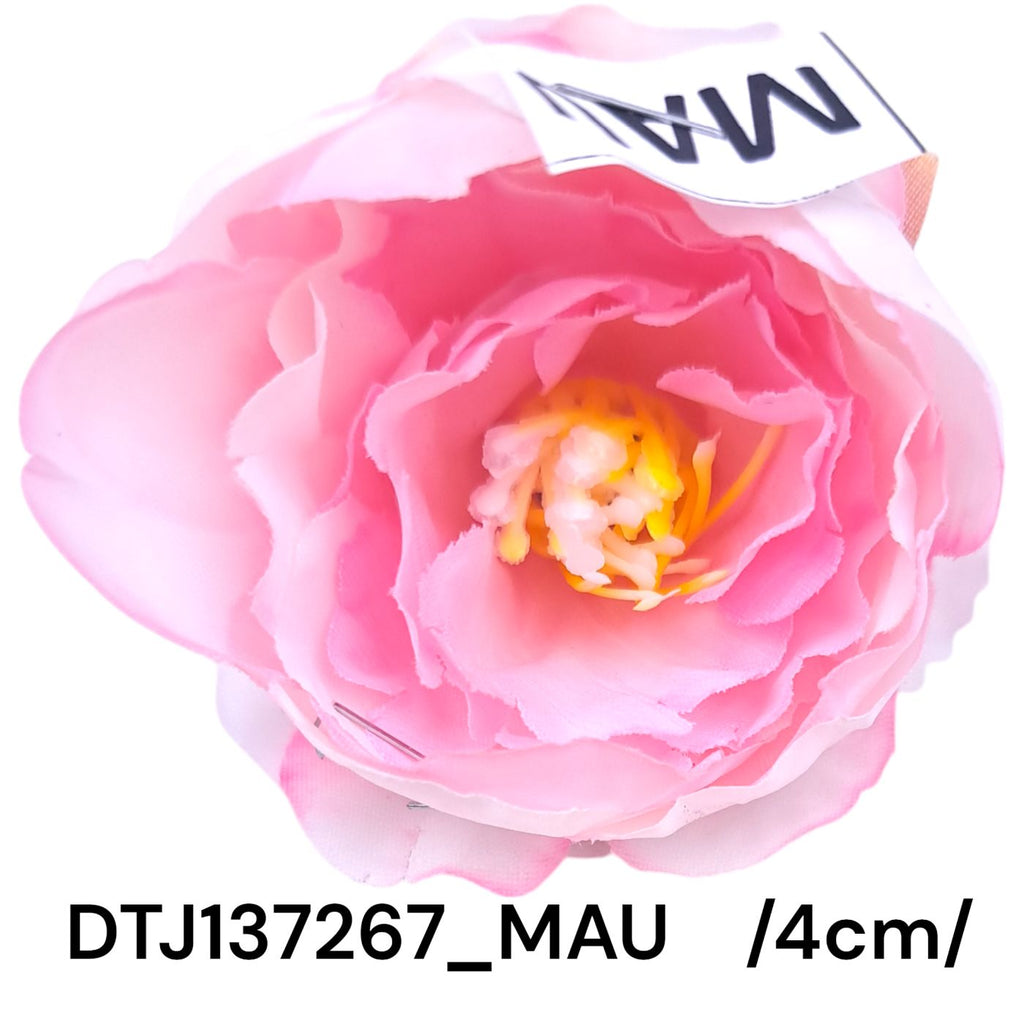 DTJ137267_MAU