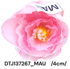 DTJ137267_MAU
