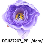 DTJ137267_PP