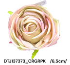 DTJ137373_CRGRPK