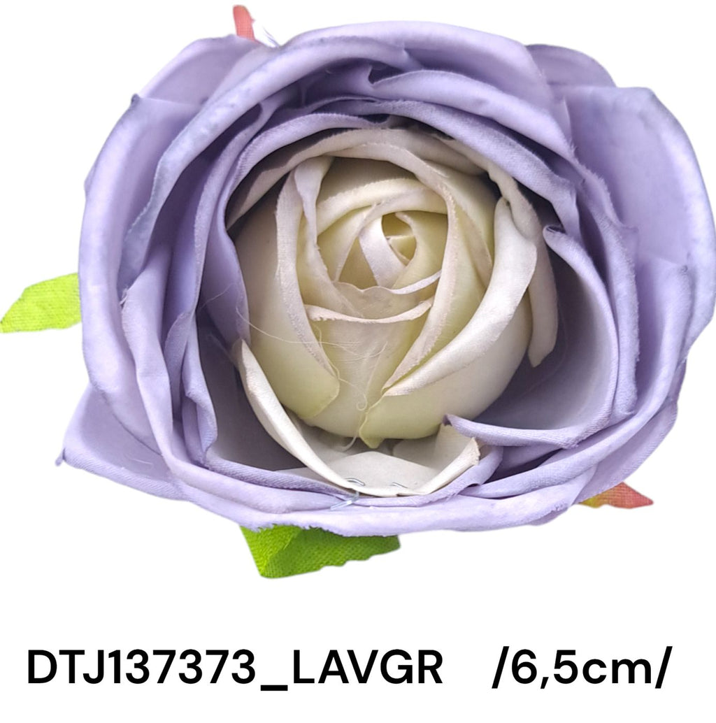 DTJ137373_LAVGR