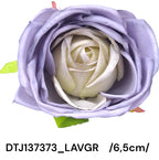 DTJ137373_LAVGR