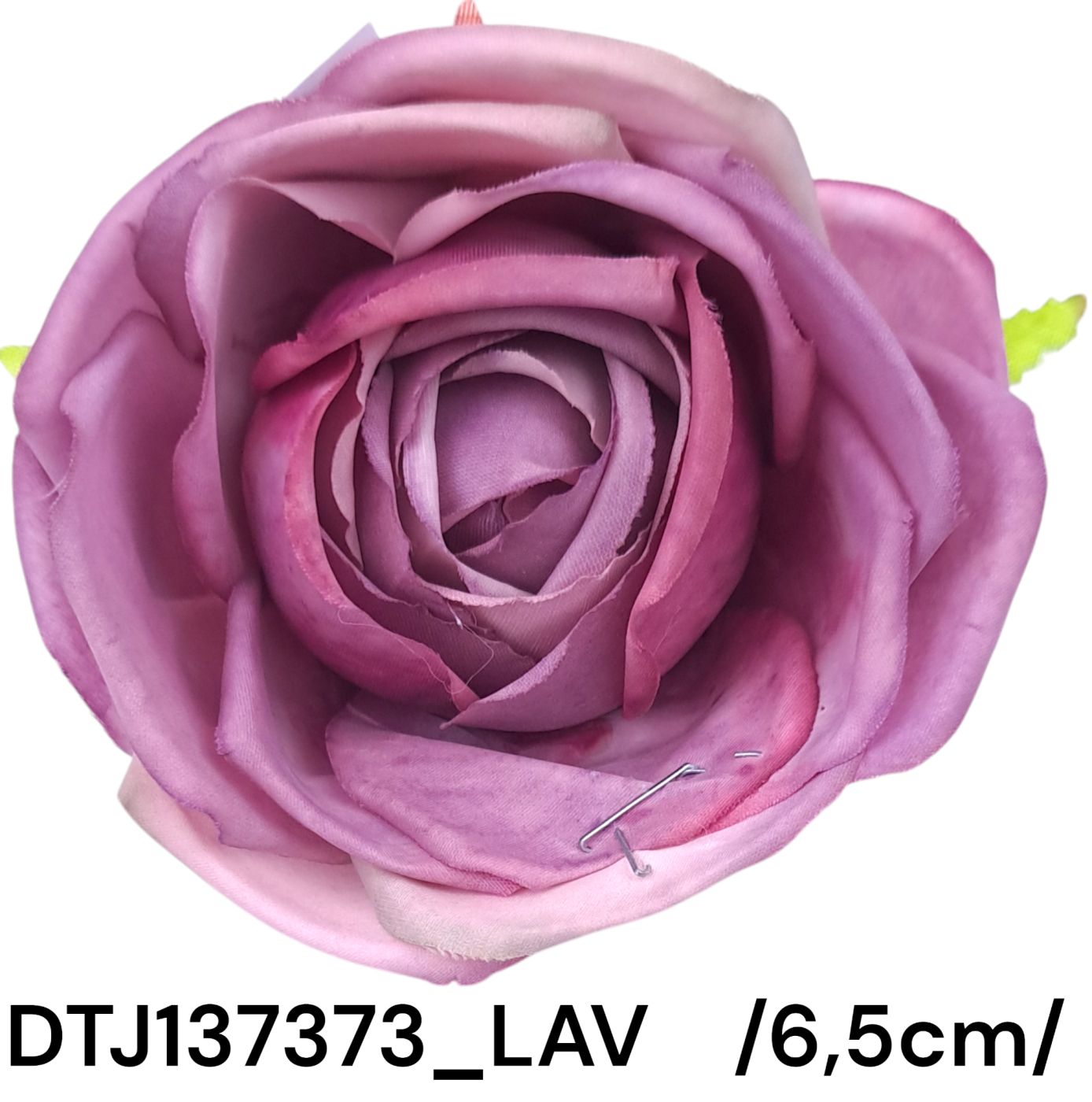 DTJ137373_LAV