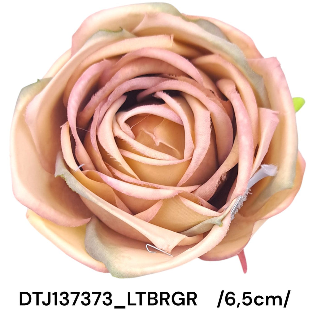DTJ137373_LTBRGR